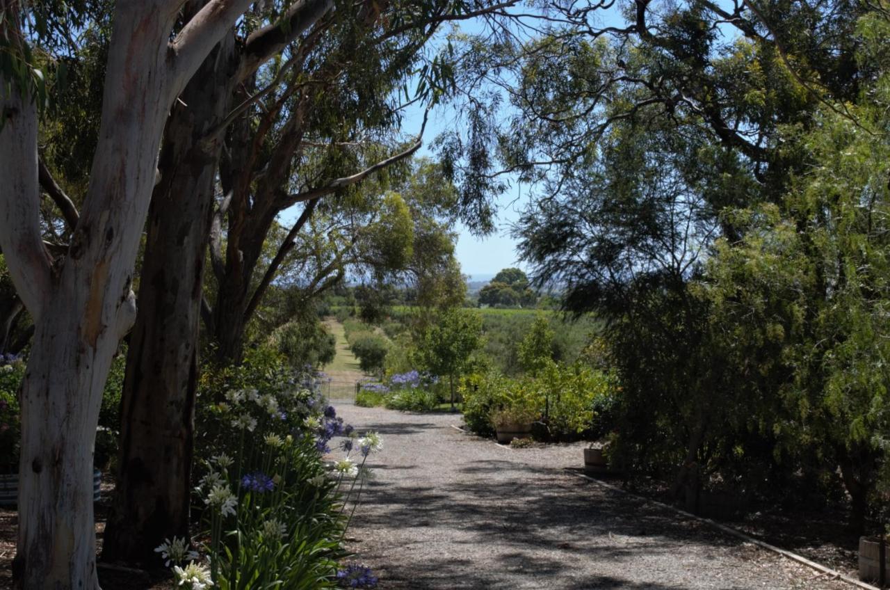 The Farm Willunga Bed & Breakfast Bagian luar foto