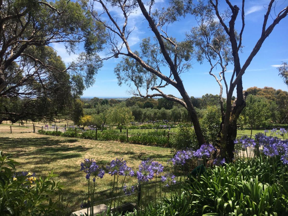 The Farm Willunga Bed & Breakfast Bagian luar foto