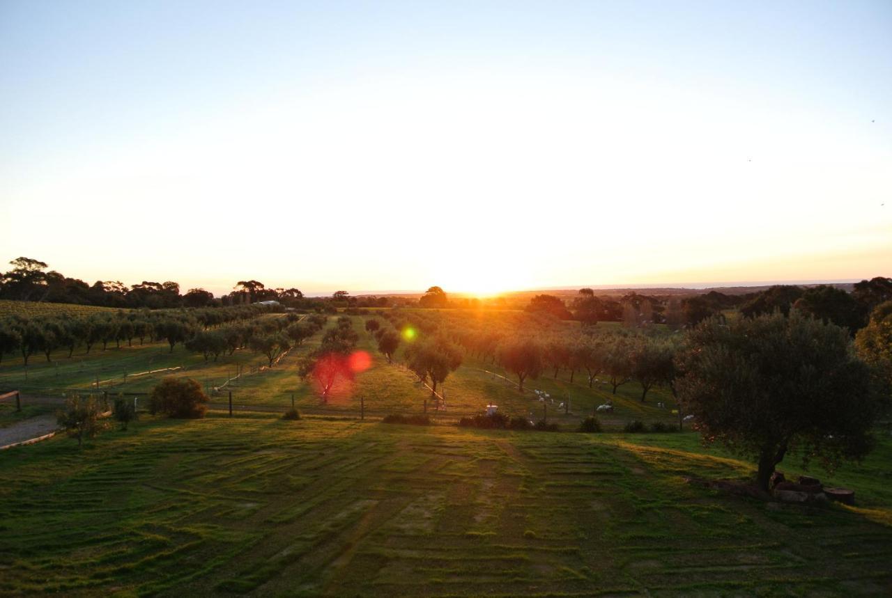 The Farm Willunga Bed & Breakfast Ruang foto