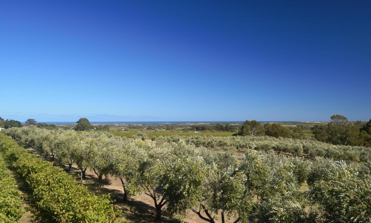 The Farm Willunga Bed & Breakfast Bagian luar foto