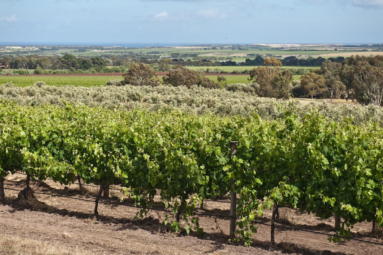 The Farm Willunga Bed & Breakfast Bagian luar foto