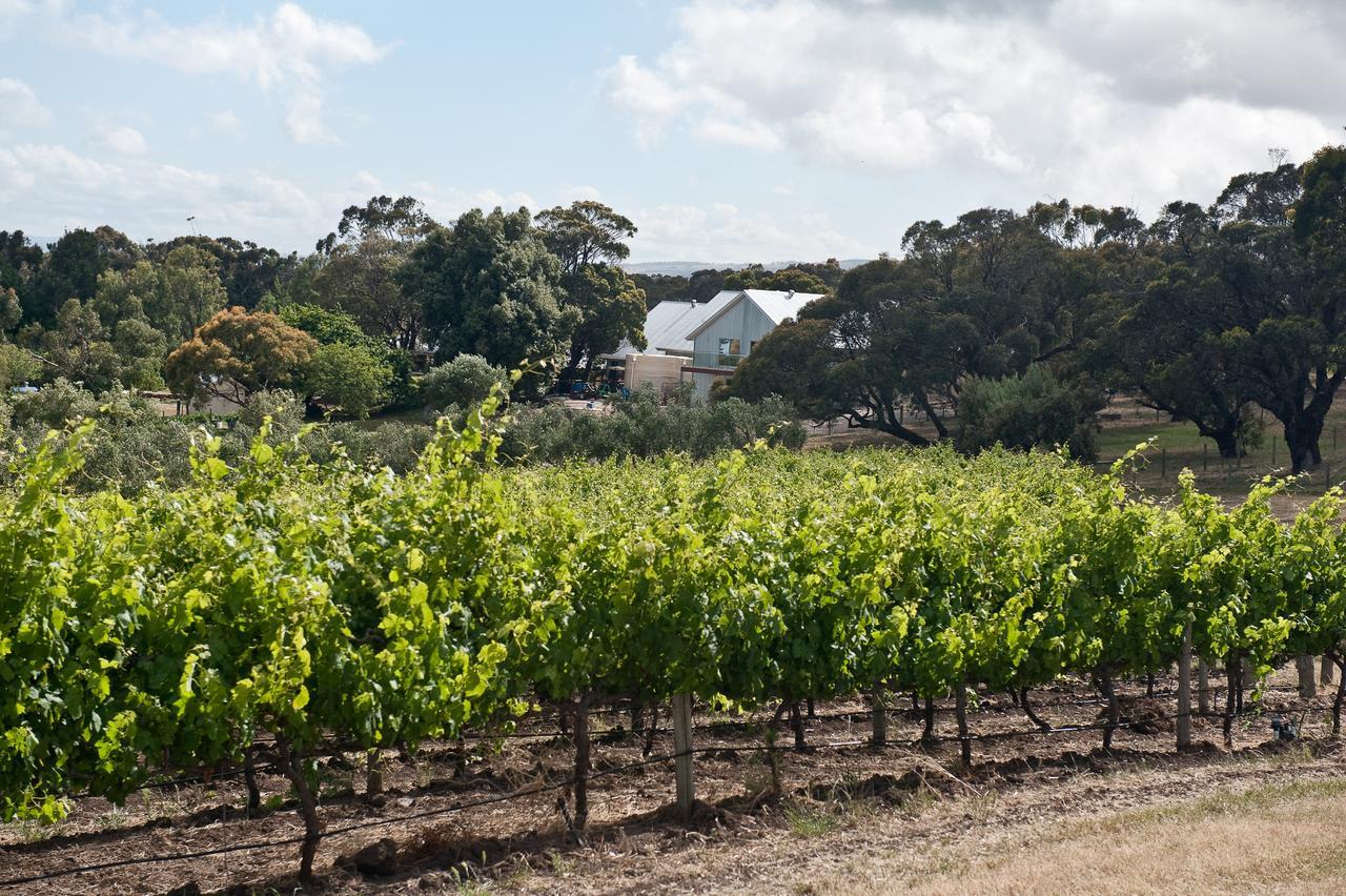 The Farm Willunga Bed & Breakfast Bagian luar foto