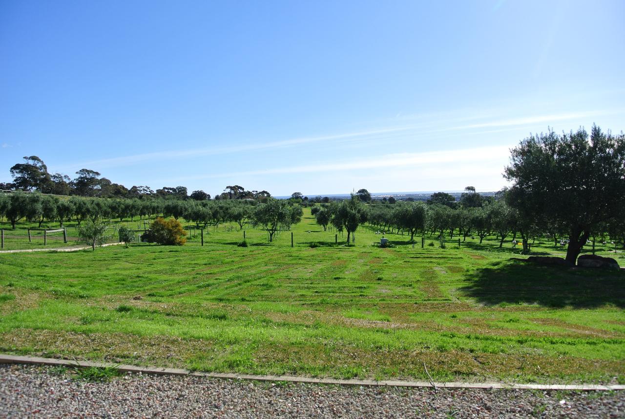 The Farm Willunga Bed & Breakfast Bagian luar foto